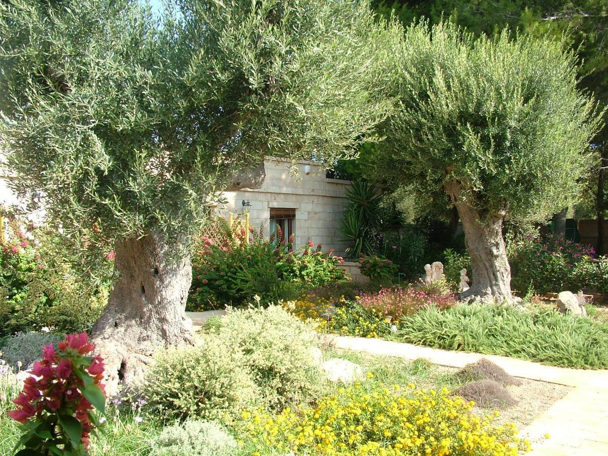 Villa Urania Torre San Giovanni Ugento Exteriér fotografie
